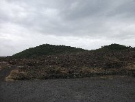 nte Arcimis-20100530 035